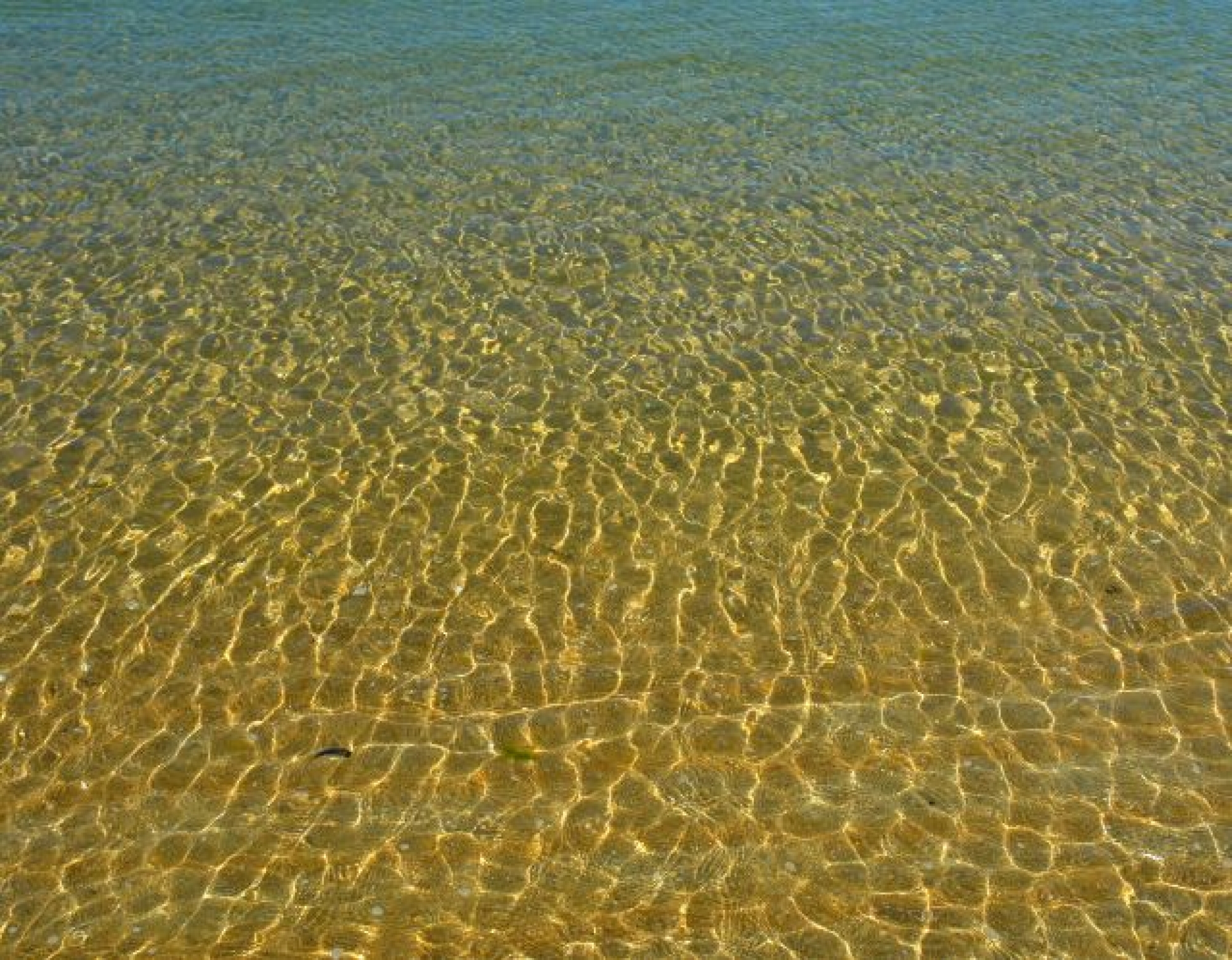 Σύντομη Ιστορία για τα Ψαρά